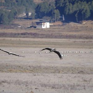 GLIMPSES OF THE CRANE VALLEY