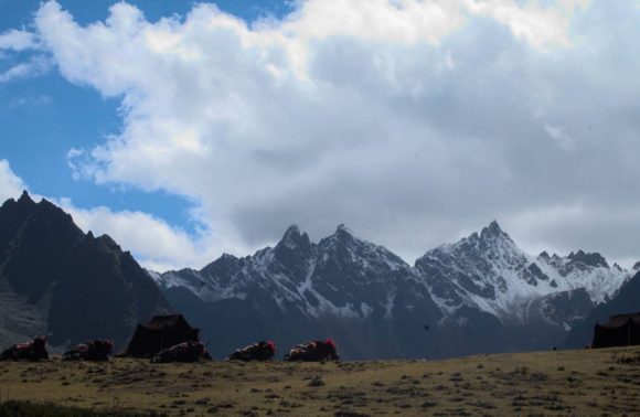 Jomolhari Trek